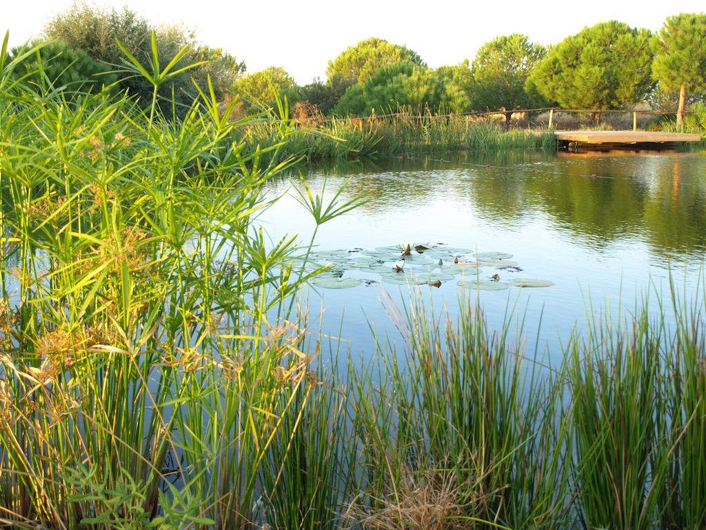 אלטורה Casa De Campo Vale Do Asno מראה חיצוני תמונה