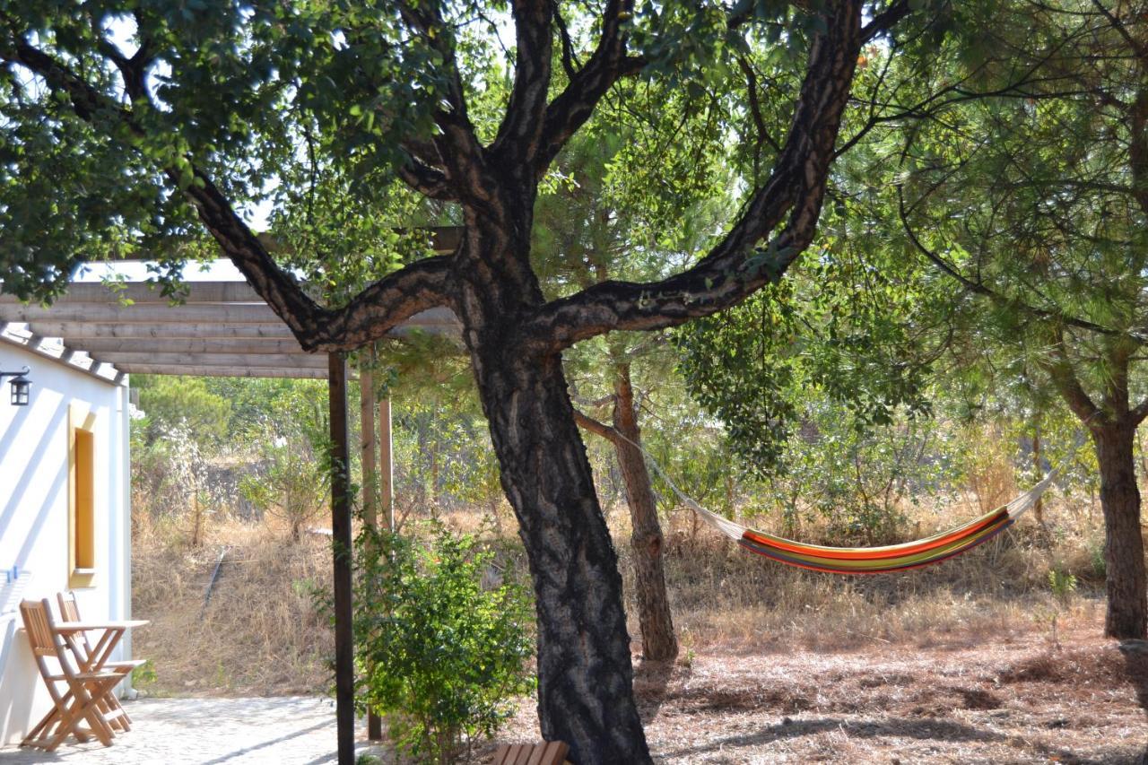 אלטורה Casa De Campo Vale Do Asno מראה חיצוני תמונה